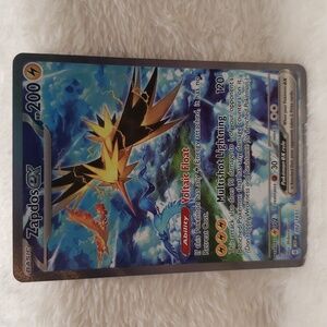 Pokemon Zapdos ex Basic, 202/165
